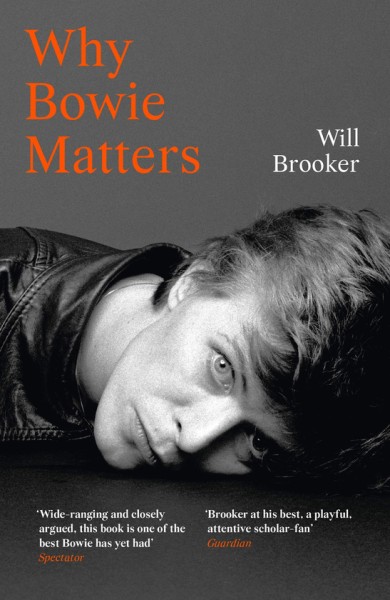 Фото Why Bowie Matters