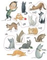 Фото Велика книжка Суперсил 5