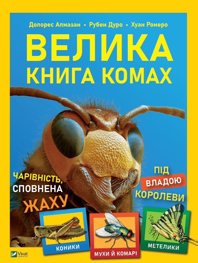 Main Product
