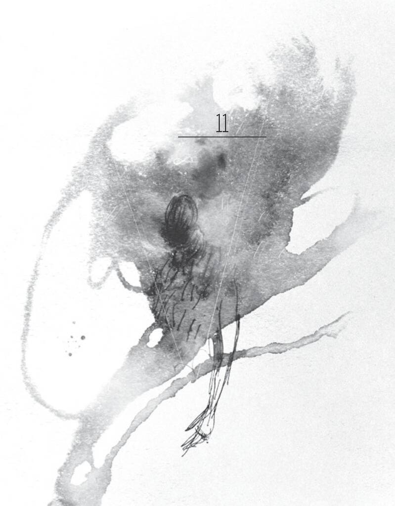 Hidden Product Image 8