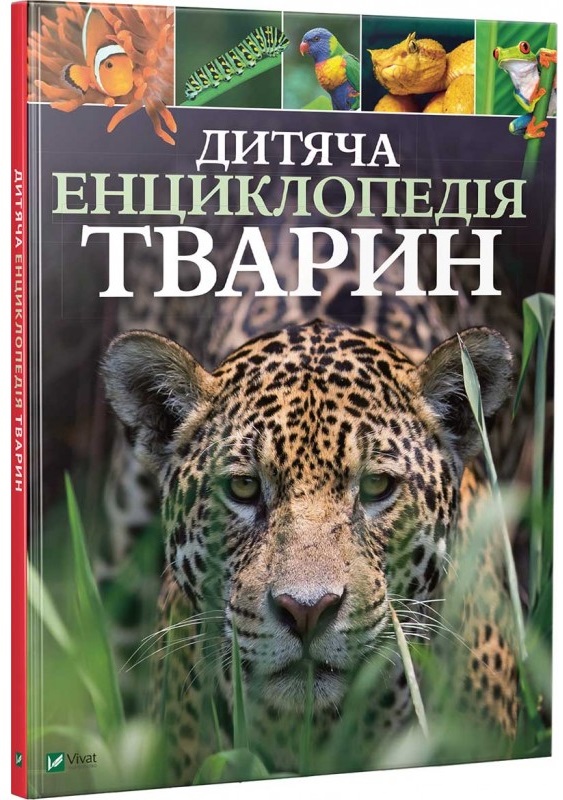 Main Product