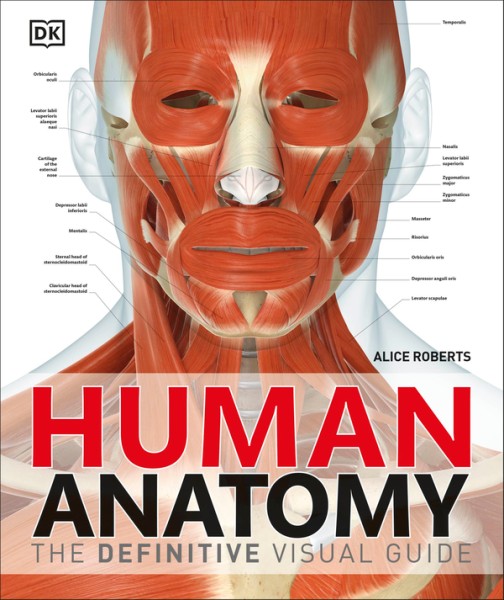 Фото Human Anatomy
