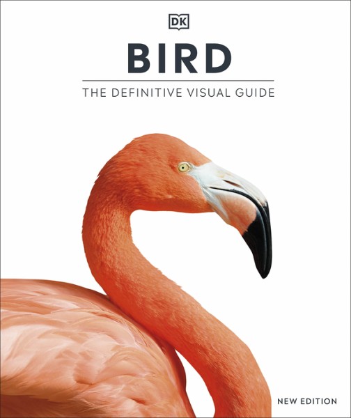 Фото Bird