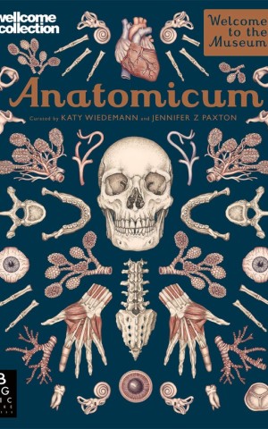 Anatomicum. Welcome to the Museum