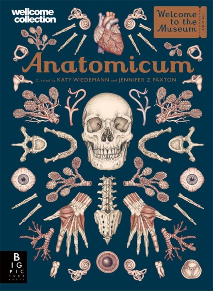 Фото Anatomicum. Welcome to the Museum