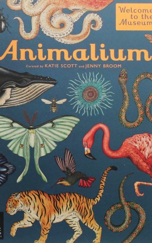 Animalium
