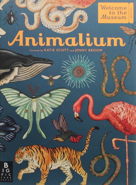 Фото Animalium