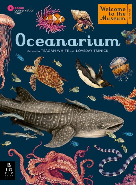 Фото Oceanarium