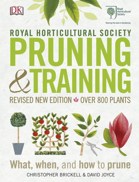 Фото Pruning and Training