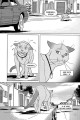 Фото Коти-вояки. Манґа 5. Тигрозір і Саша. У ліси! 4