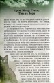 Фото Коти-вояки. Таємниці Кланів. Путівник по серії 2