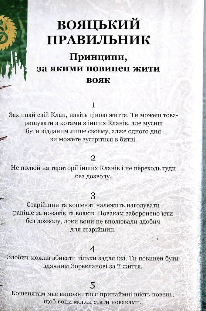 Hidden Product Image 6