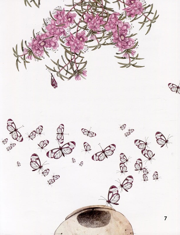 Hidden Product Image 7