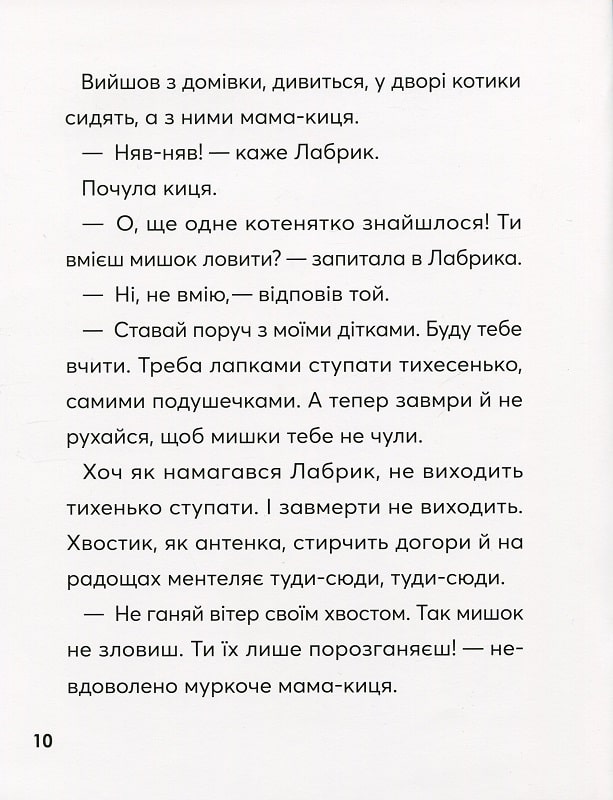 Hidden Product Image 10