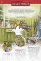Фото Петсон і Фіндус на природі 4