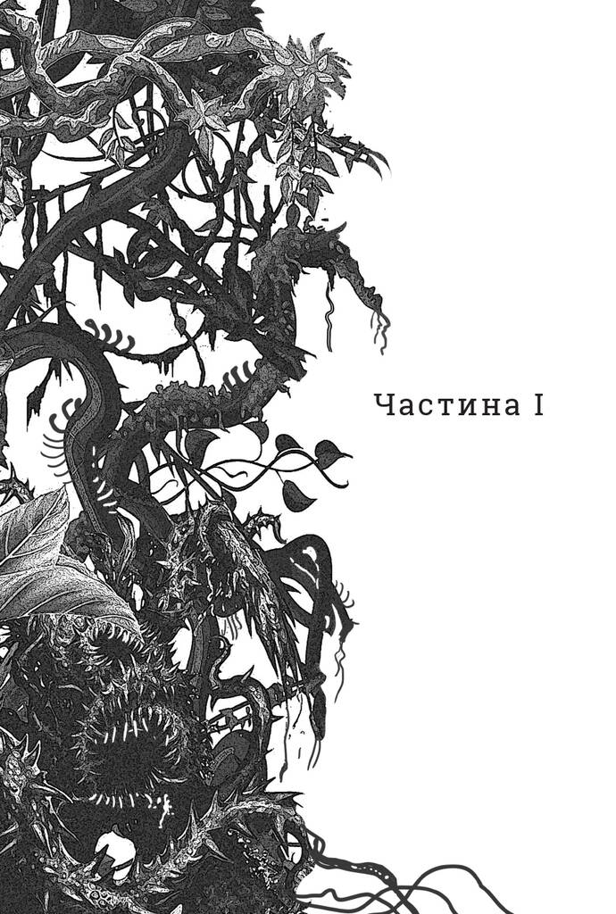 Hidden Product Image 6