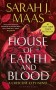 Crescent City #1. House of Earth and Blood