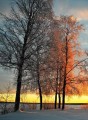 Фото Lagom. The Swedish Secret of Living Well 3