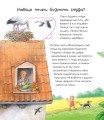 Фото Де живуть тварини 4