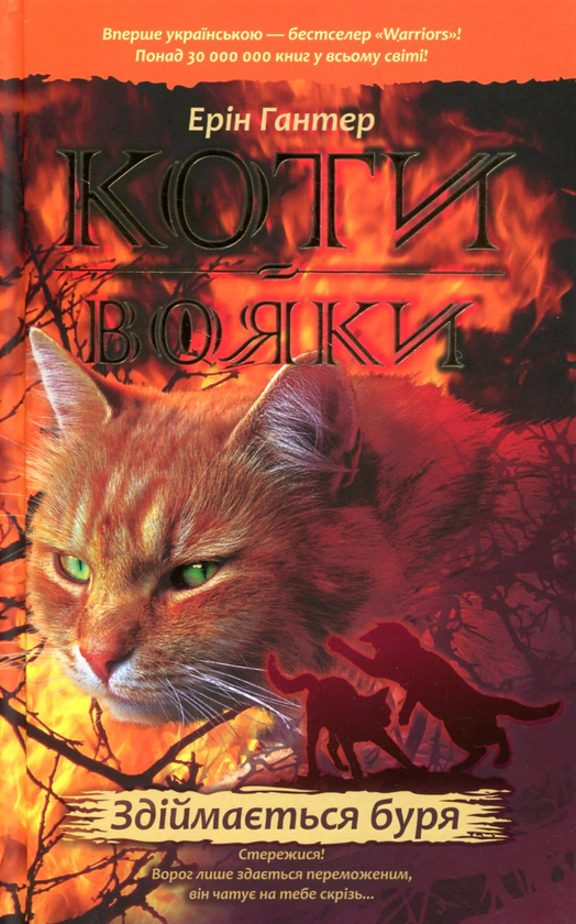 Обкладинка Коти-вояки. Книга 4. Здіймається буря