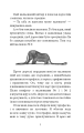 Фото Маленький принц 7