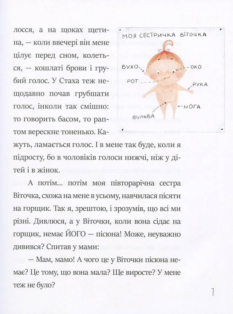 Hidden Product Image 7
