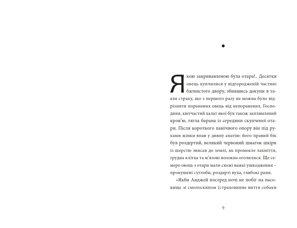 Hidden Product Image 6