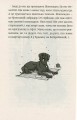 Фото Емі і таємний клуб супердівчат 11