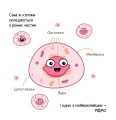 Фото Генетика 9