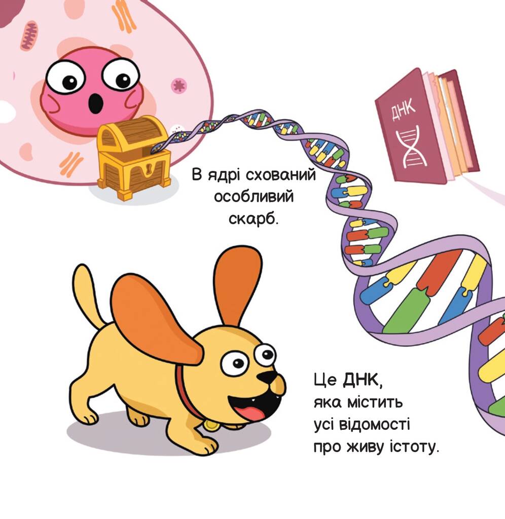 Hidden Product Image 10