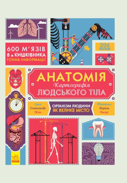 Фото Крутезна інфографіка : Анатомія