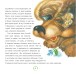 Фото Дідусь Апчих та його друзі : казкові повісті 8