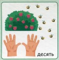 Фото Від 1 до 10. Набір карток 6