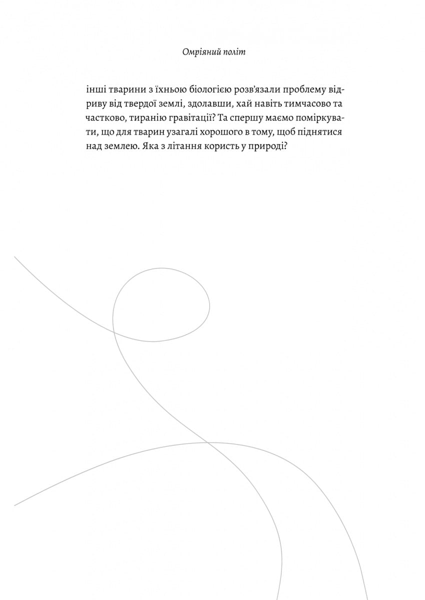 Hidden Product Image 12