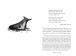Фото Книга джунглів 3