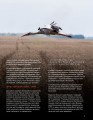 Фото Локальна історія №8/2023 (тема "Хліб") 5