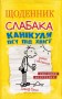 Щоденник слабака. Канікули псу під хвіст (4)