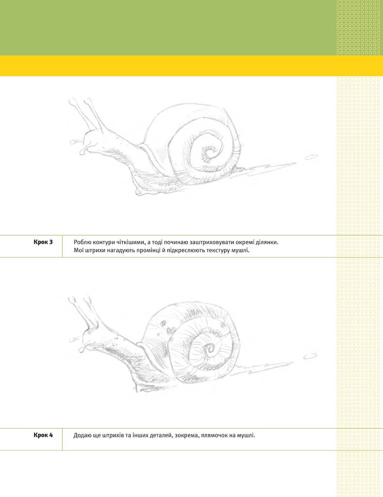 Hidden Product Image 10