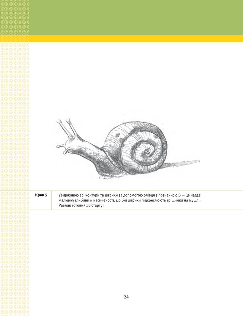 Hidden Product Image 11