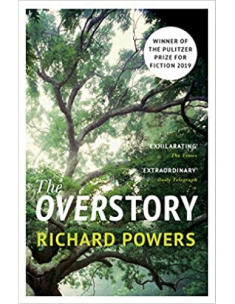 Фото The Overstory