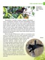Фото Енциклопедія для допитливих А5 : Хижаки (Українська, 01 КРЕЙДОВАНИЙ ) 5