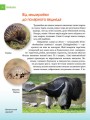 Фото Енциклопедія для допитливих А5 : Хижаки (Українська, 01 КРЕЙДОВАНИЙ ) 6
