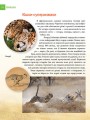 Фото Енциклопедія для допитливих А5 : Хижаки (Українська, 01 КРЕЙДОВАНИЙ ) 8