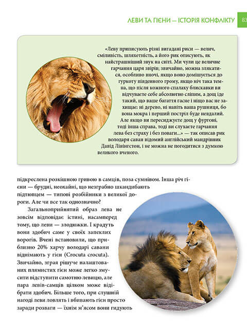 Hidden Product Image 11
