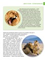 Фото Енциклопедія для допитливих А5 : Хижаки (Українська, 01 КРЕЙДОВАНИЙ ) 11