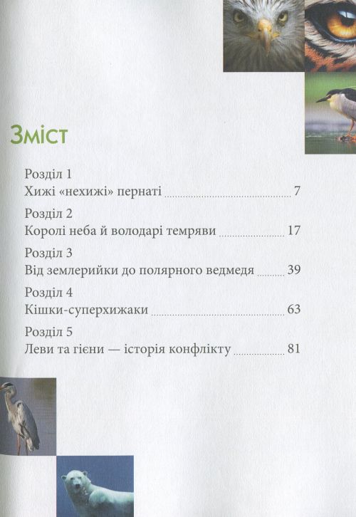 Hidden Product Image 12