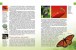 Фото Енциклопедія для допитливих А5 : Тварини - майстри маскування (Українська ) 4