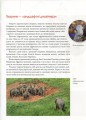 Фото Енциклопедія для допитливих А5 : Тварини - винахідники і будівельники (Українська, 01 КРЕЙДОВАНИЙ ) 6