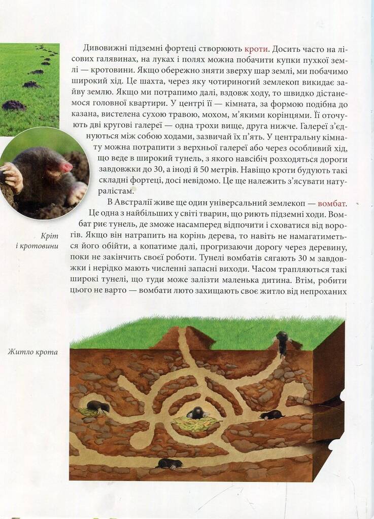 Hidden Product Image 7