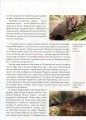 Фото Енциклопедія для допитливих А5 : Тварини - винахідники і будівельники (Українська, 01 КРЕЙДОВАНИЙ ) 8
